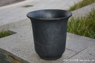 精品大號(hào)金鐘盆 泥瓦盆在蘭花種植中的應(yīng)用與普通馬桶的對(duì)比分析